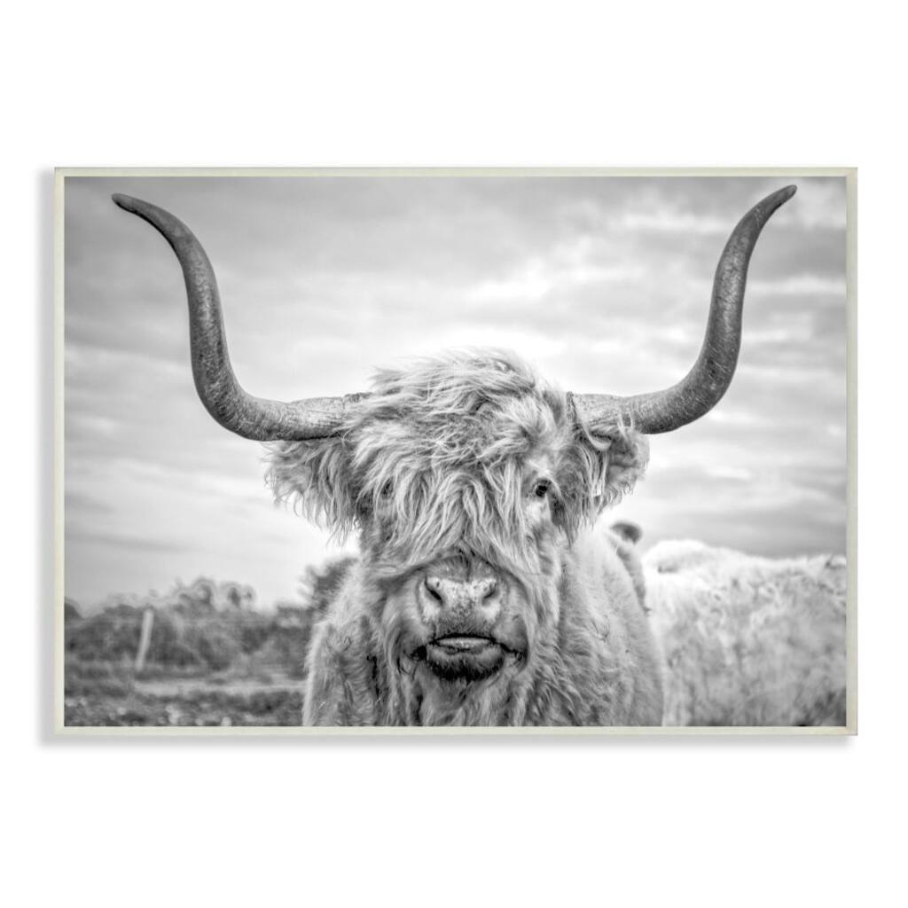 Stupell Industries Black & White Highland Cow Wall Plaque ...
